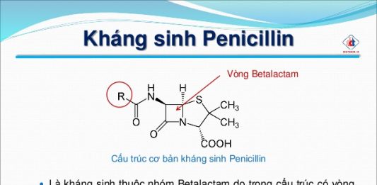 Cấu trúc hóa học, phân loại, tính chất, chiết xuất và tinh chế penicillin