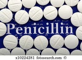 Thành phần môi trường dinh dưỡng sinh tổng hợp penicillin
