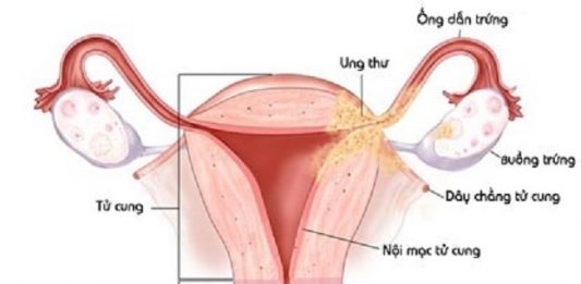 Các vấn đề thuộc cơ quan sinh sản của nam và nữ