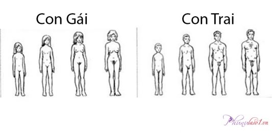 Tuổi dậy thì