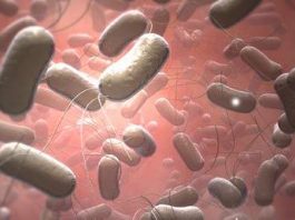 Bệnh thương hàn