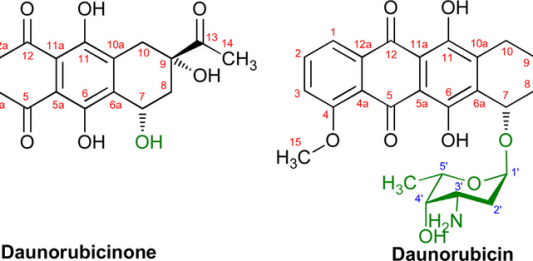 Sinh tổng hợp daunorubicin