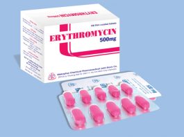 Sinh tổng hợp erythromycin