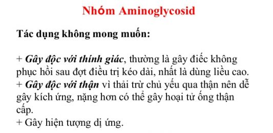 Cơ chế tác dụng và sinh tổng hợp aminoglycosid