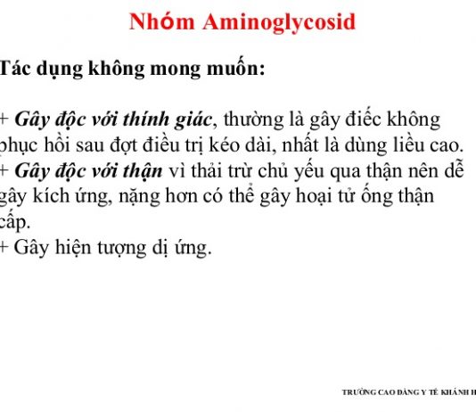 Cơ chế tác dụng và sinh tổng hợp aminoglycosid