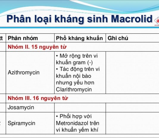 Tổng quan về các macrolid