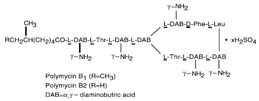 Sinh tổng hợp polymyxin