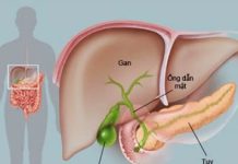 Hội chứng hủy hoại ống dẫn mật do meropenem