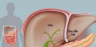 Hội chứng hủy hoại ống dẫn mật do meropenem