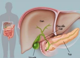 Hội chứng hủy hoại ống dẫn mật do meropenem