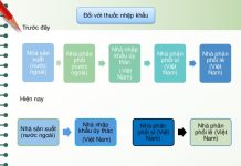 Phân bố thuốc đến các tổ chức