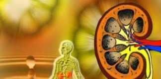 THẢI TRỪ THUỐC