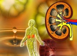 THẢI TRỪ THUỐC