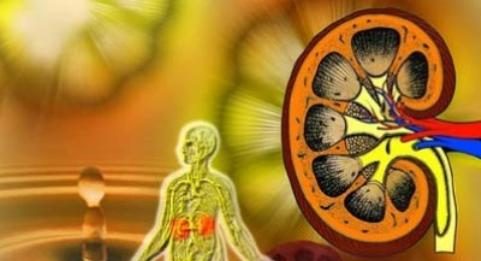 THẢI TRỪ THUỐC