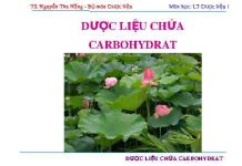 Những kiến thức về dược liệu chứa Carbohydrat