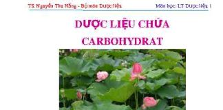Những kiến thức về dược liệu chứa Carbohydrat