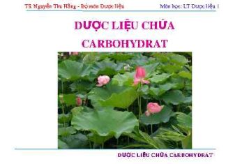 Những kiến thức về dược liệu chứa Carbohydrat
