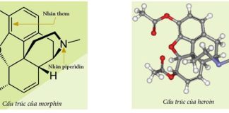 Tìm hiểu về Morphin