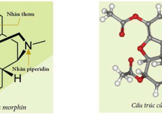 Tìm hiểu về Morphin