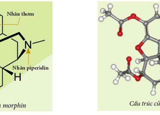 Tìm hiểu về Morphin