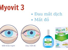Dung dịch nhỏ mắt Myovit 3 có tốt như lời đồn không? Giá bao nhiêu? Dung dịch nhỏ mắt Myovit 3