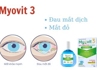 Dung dịch nhỏ mắt Myovit 3 có tốt như lời đồn không? Giá bao nhiêu? Dung dịch nhỏ mắt Myovit 3